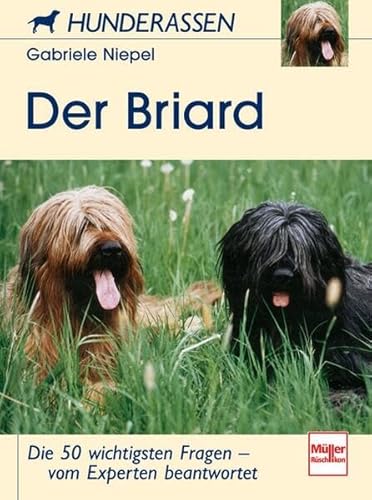 Beispielbild fr Der Briard. Hunderassen. zum Verkauf von medimops