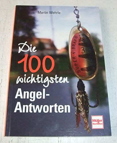 Stock image for Die 100 wichtigsten Angel-Antworten for sale by medimops