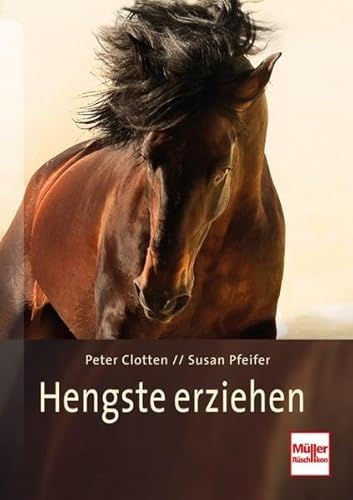 Stock image for Hengste erziehen: So arbeiten die besten Pferdetrainer der Welt for sale by medimops