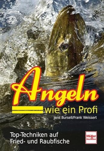 Stock image for Angeln wie ein Profi: Top-Techniken auf Fried- und Raubfische for sale by medimops