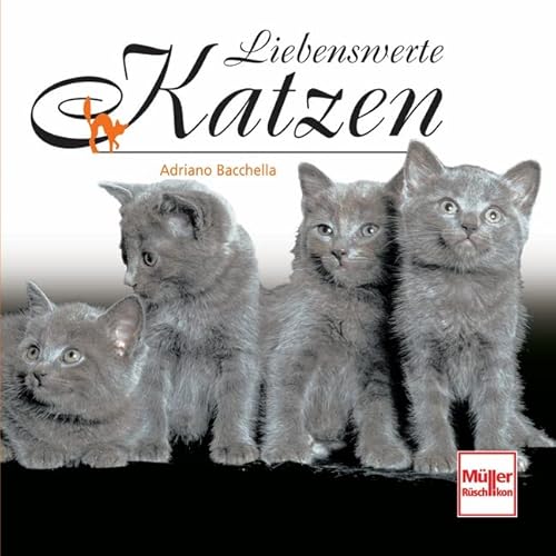 Liebenswerte Katzen (Geschenkbücher)