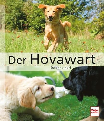 Stock image for Der Hovawart: Das groe Rassehandbuch (Hunderassen) for sale by medimops