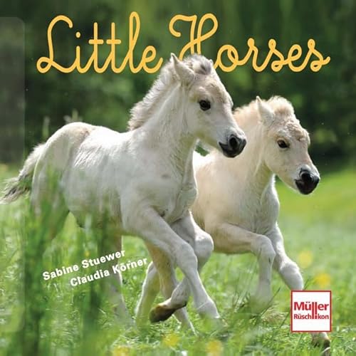 Stock image for Little Horses (Geschenkbcher) for sale by Leserstrahl  (Preise inkl. MwSt.)