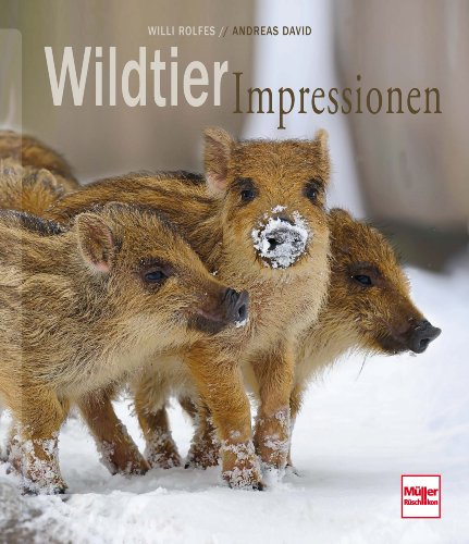 Wildtierimpressionen (9783275018703) by Unknown Author