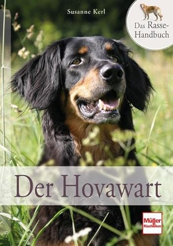 Stock image for Der Hovawart for sale by Blackwell's