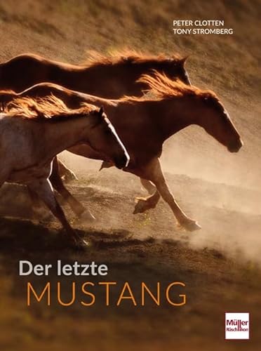 Stock image for Der letzte Mustang for sale by medimops