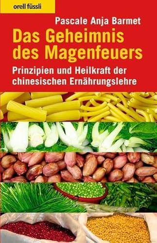 9783280051825: Das Geheimnis des Magenfeuers: Prinzipien und Heilkraft der Chinesischen Ernhrungslehre