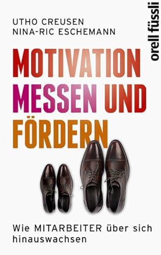 Stock image for Motivation messen und frdern: Wie MITARBEITER ber sich hinauswachsen for sale by medimops
