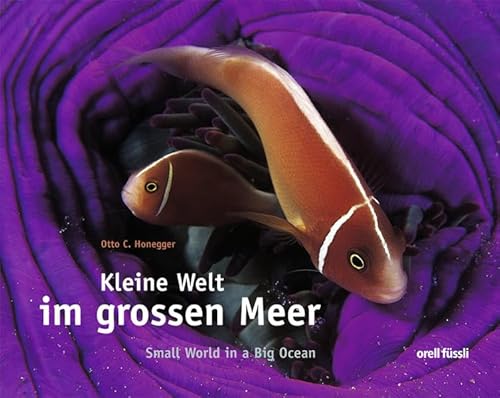 Beispielbild fr Kleine Welt Im Grossen Meer zum Verkauf von Hamelyn