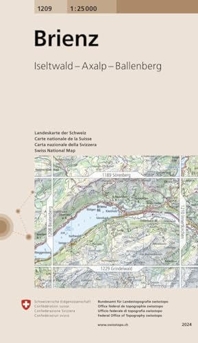 9783302012094: Carte routire : Brienz