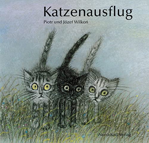 9783314005367: Katzenausflug: Brave Little Kittens (German Edition)