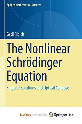 9783319127491: The Nonlinear Schrdinger Equation: Singular Solutions and Optical Collapse