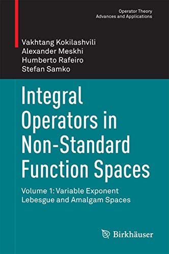 Imagen de archivo de Integral Operators in Non-Standard Function Spaces: Volume 1: Variable Exponent Lebesgue and Amalgam Spaces (Operator Theory: Advances and Applications, 248) a la venta por GF Books, Inc.