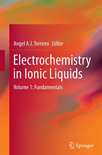 Stock image for Electrochemistry in Ionic Liquids: Volume 1: Fundamentals for sale by Revaluation Books