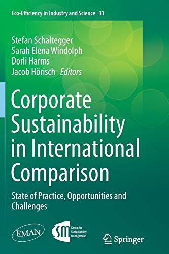 9783319354354: Corporate Sustainability in International Comparison: State of Practice, Opportunities and Challenges: 31 (Eco-Efficiency in Industry and Science, 31)
