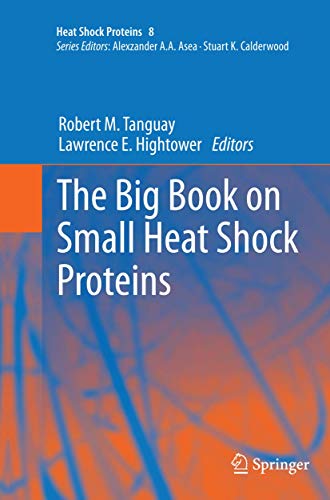 Stock image for The Big Book on Small Heat Shock Proteins for sale by Ria Christie Collections