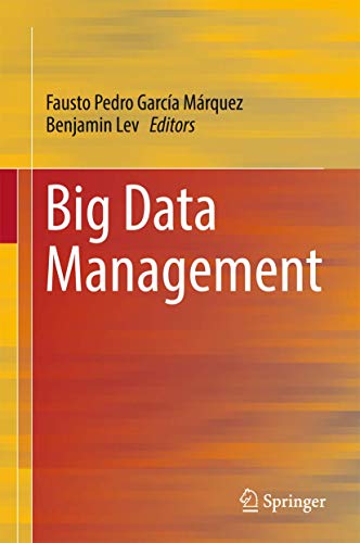 Beispielbild fr Big Data Management. zum Verkauf von Antiquariat im Hufelandhaus GmbH  vormals Lange & Springer