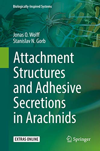 Stock image for Attachment Structures and Adhesive Secretions in Arachnids. for sale by Antiquariat im Hufelandhaus GmbH  vormals Lange & Springer