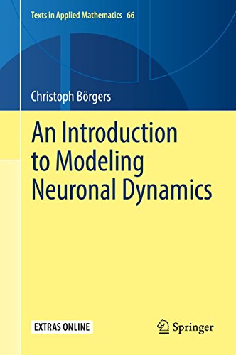 Stock image for An Introduction to Modeling Neuronal Dynamics (Texts in Applied Mathematics) for sale by Books Puddle