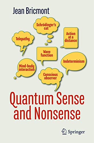 9783319652702: Quantum Sense and Nonsense