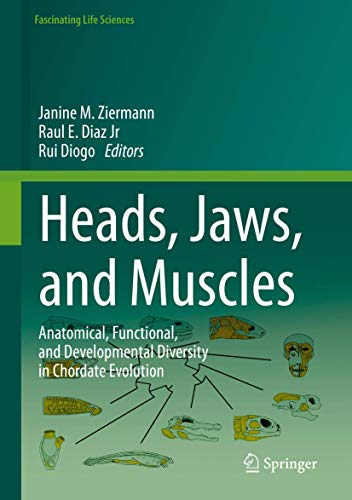 Stock image for Heads, Jaws, and Muscles: Anatomical, Functional, and Developmental Diversity in Chordate Evolution (Fascinating Life Sciences) for sale by GF Books, Inc.