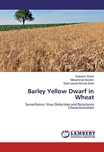 Stock image for Barley Yellow Dwarf in Wheat: Surveillance; Virus Detection and Resistance Characterization for sale by Revaluation Books