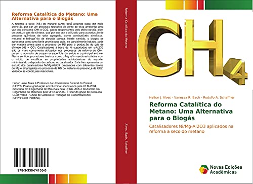 9783330741553: Reforma Cataltica do Metano: Uma Alternativa para o Biogs: Catalisadores Ni/Mg-Al2O3 aplicados na reforma a seco do metano