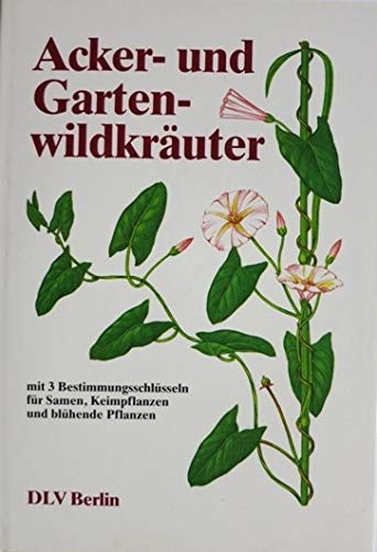 Stock image for Acker- und Gartenwildkruter, ein Bestimmungsbuch for sale by Buchmarie