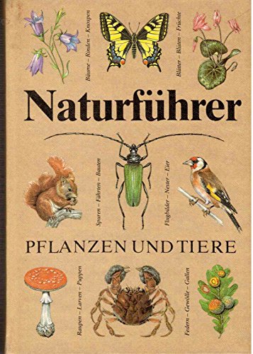 Stock image for Naturfhrer Pflanzen und Tiere [Gebundene Ausgabe] Christoph Needon (Autor), Johannes Petermann (Autor), Peter Scheffel (Autor), Bernd Scheiba (Autor) for sale by BUCHSERVICE / ANTIQUARIAT Lars Lutzer