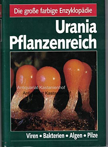 Imagen de archivo de Urania Pflanzenreich, Viren, Bakterien, Algen, Pilze: Bd. 1 a la venta por medimops