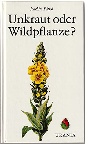 Unkraut oder Wildpflanze ?