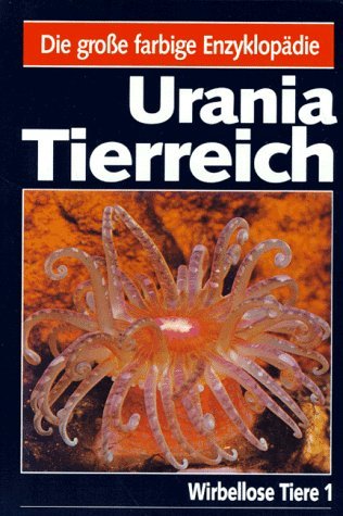 Beispielbild fr Wirbellose 1 (Protozoa bis Echiurida) zum Verkauf von Martin Preu / Akademische Buchhandlung Woetzel