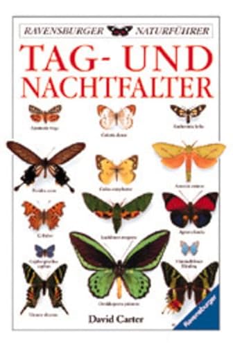 Tag- und Nachtfalter. (9783332009903) by Carter, David; Greenaway, Frank