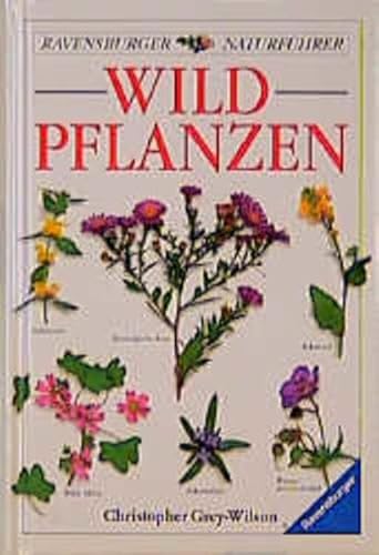 9783332009934: Wildpflanzen