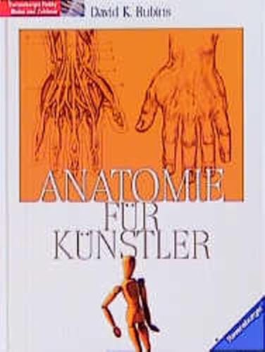 Beispielbild fr Anatomie fr Knstler zum Verkauf von medimops