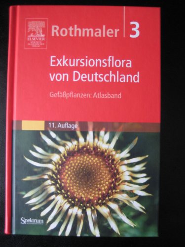 Imagen de archivo de Rothmaler, Exkursionsflora in Deutschland Bd.3 9. A.: Gefsspflanzen - Atlasband a la venta por medimops