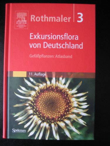 Stock image for Rothmaler, Exkursionsflora in Deutschland Bd.3 9. A.: Gefsspflanzen - Atlasband for sale by medimops