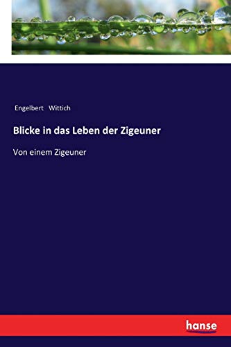 Blicke in das Leben der Zigeuner : Von einem Zigeuner - Engelbert Wittich