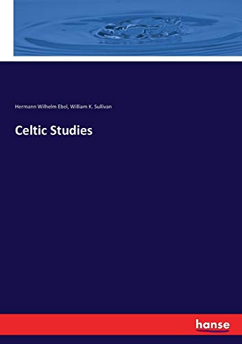 Stock image for Celtic Studies for sale by Lucky's Textbooks