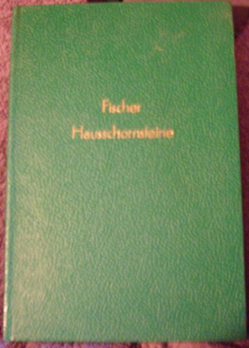 Hausschornsteine Funktion - Bauasführung - Instandhaltung