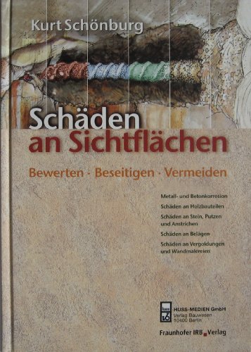Stock image for Schden an Sichtflchen. Bewerten, Beseitigen, Vermeiden for sale by medimops