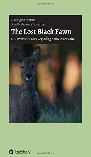Stock image for The Lost Black Fawn for sale by Lucky's Textbooks