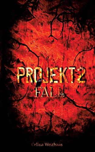 9783347153301: Projekt II: Fall