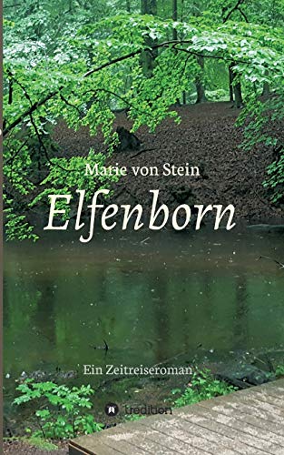 9783347158108: Elfenborn: Ein Zeitreiseroman: 1