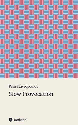 Stock image for Slow Provocation for sale by Lucky's Textbooks