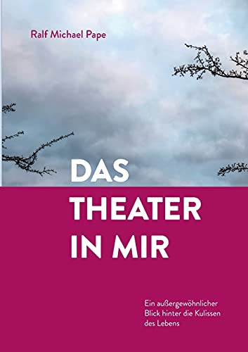 Imagen de archivo de Das Theater in mir: Ein auergewhnlicher Blick hinter die Kulissen des Lebens (German Edition) a la venta por Lucky's Textbooks