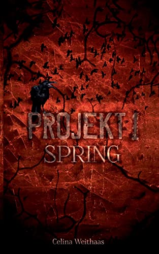 9783347389618: Spring - Projekt I: 1