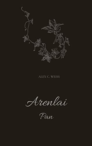Beispielbild fr Arenlai, Fantasyroman: Pan zum Verkauf von medimops