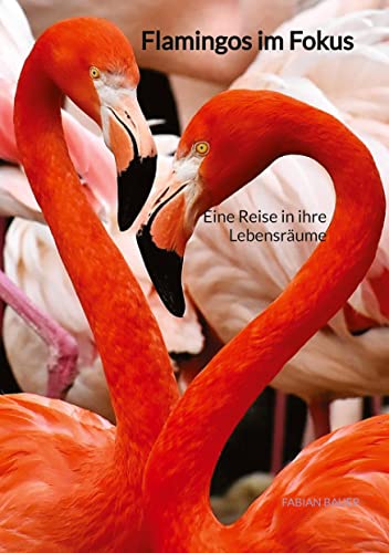 9783347889026: Flamingos im Fokus: Eine Reise in ihre Lebensrume
