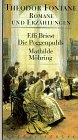 Beispielbild fr Romane und Erzhlungen, 8 Bde., Bd.7, Effi Briest zum Verkauf von medimops
